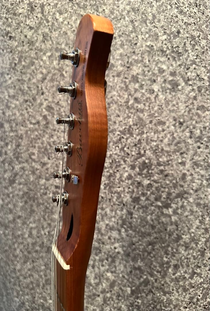 【怒犬-Dokken-】バッカス ユニバース テレキャスBTE-3改