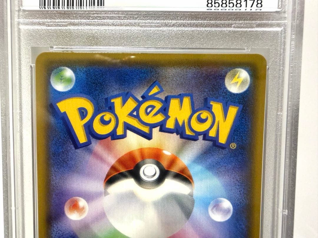 めいめいページ ポンチョを着たイーブイ ブラッキー【PSA10】