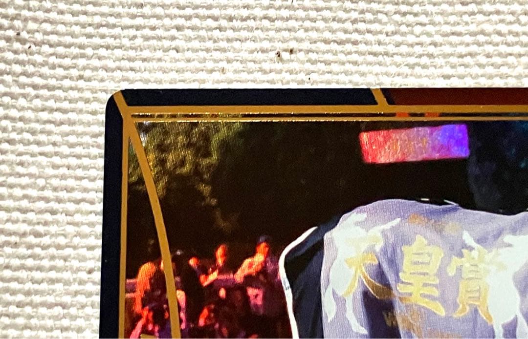 ホースライダーズ　マヤノトップガン