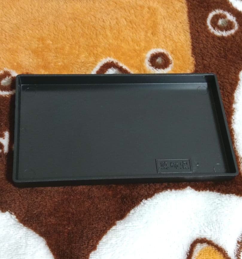 ポケモン　陶飾り ピカチュウとライコウ