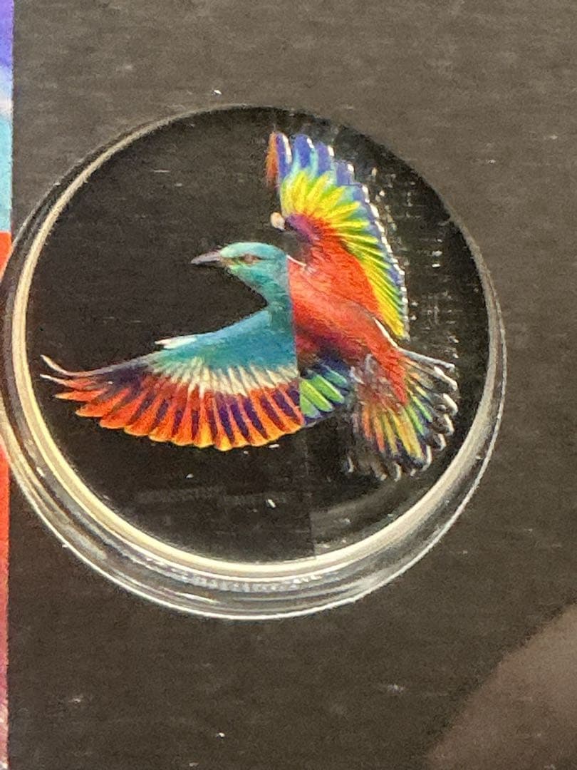 ヨーロッパ・ブッポウソウ 2022年 クック諸島 1オンス純銀 プルーフ銀貨