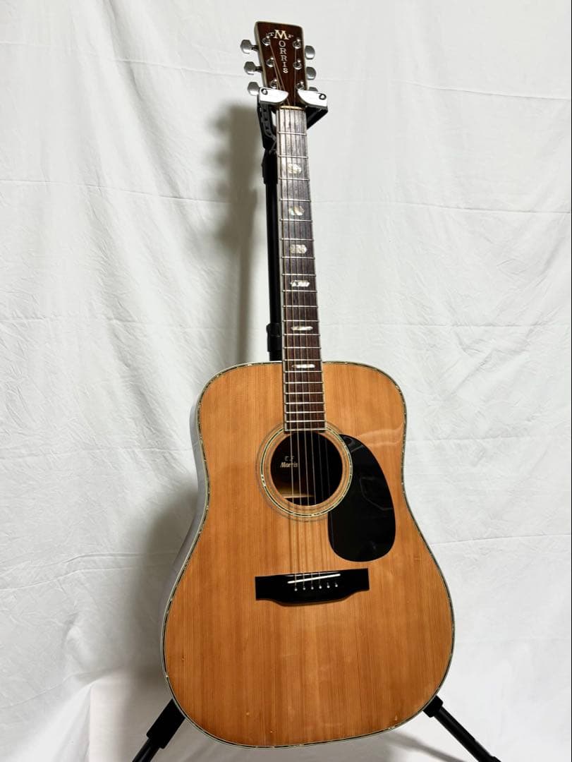 【新品弦張替済】MORRIS アコースティックギター W-60