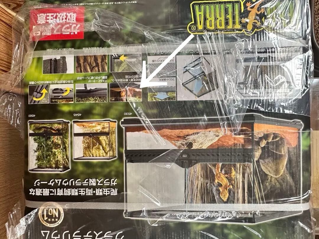 エキゾテラ グラステラリウム4545 PT2605