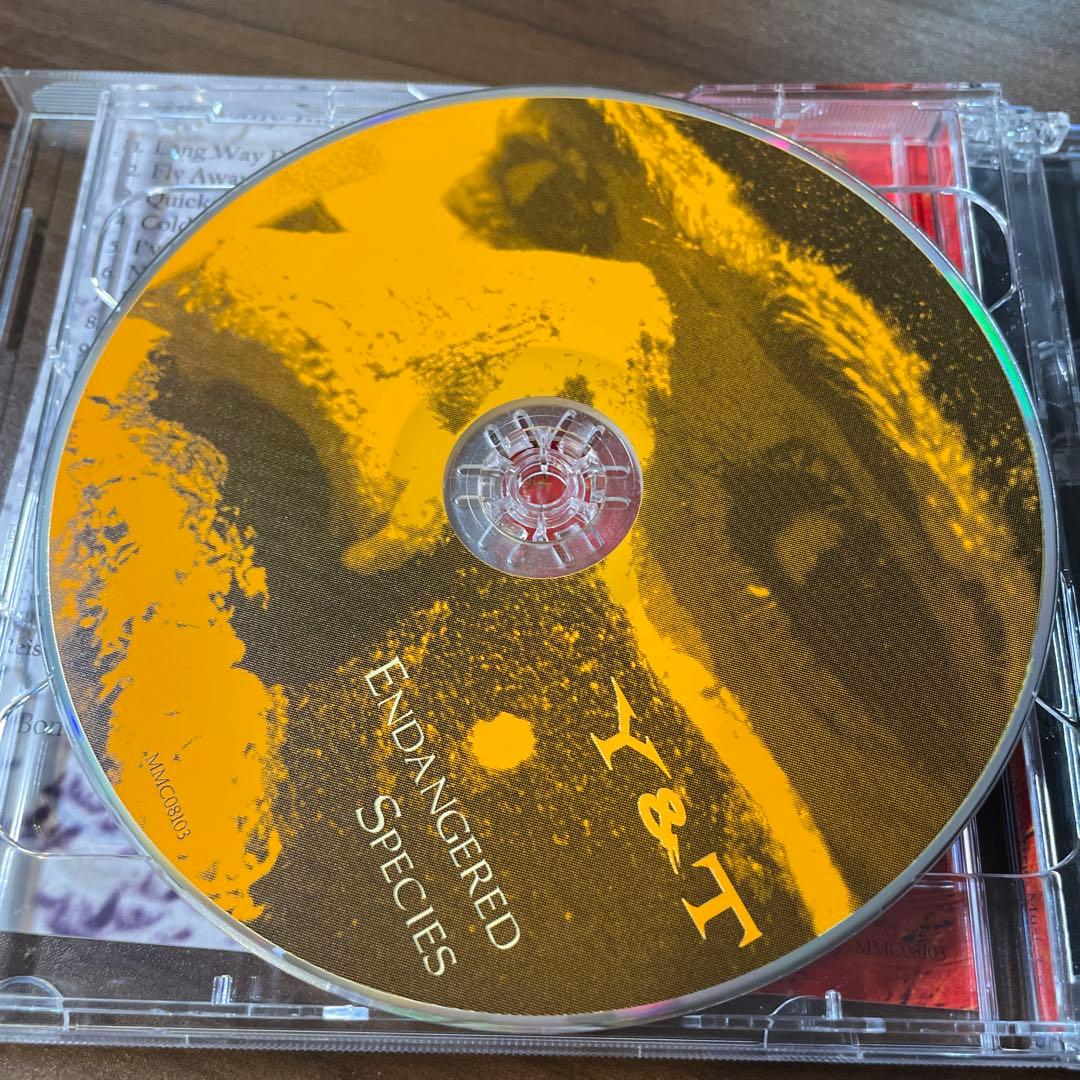 AOR CD Ｙ&Ｔ