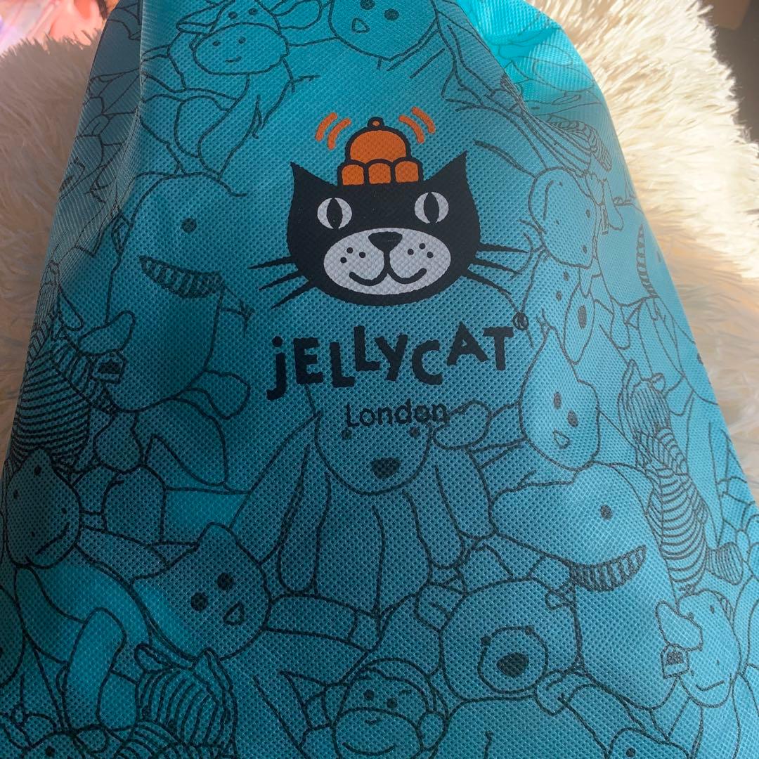 ニューヨーク限定 ジェリーキャット アイスクリームベア