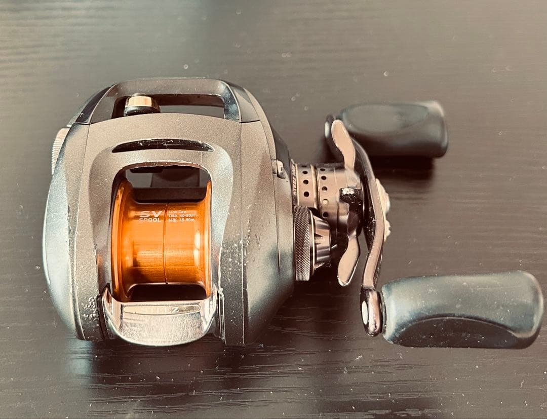 リール DAIWA STEEZ 100H