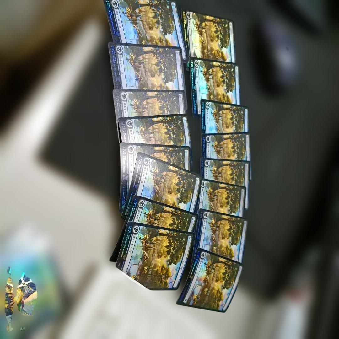 MTG チョコボバンドル 土地 チョコボトラックfoil 5種×16枚 FF