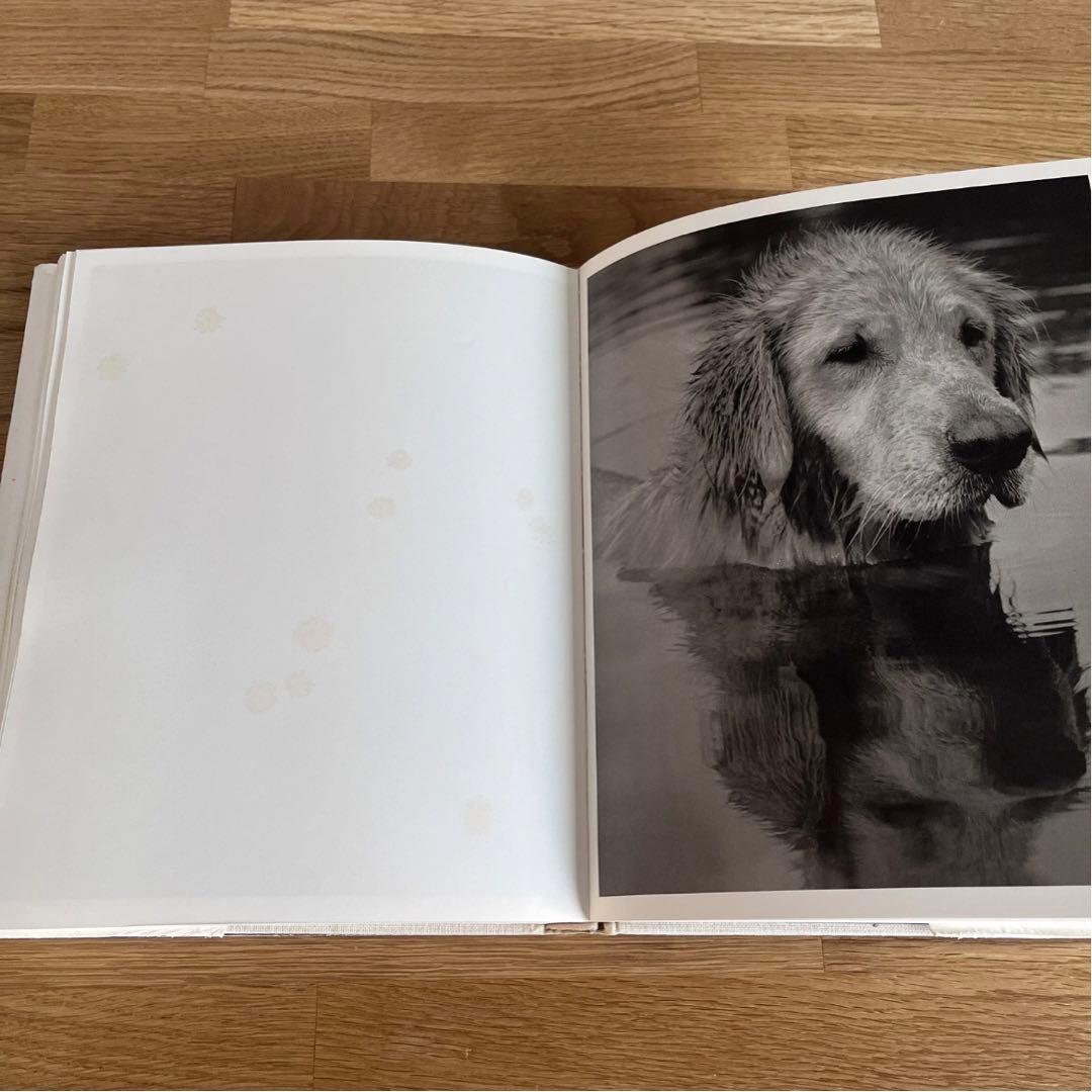 BEAR POND Bruce Weber 初版本 1990年 写真集 希少本