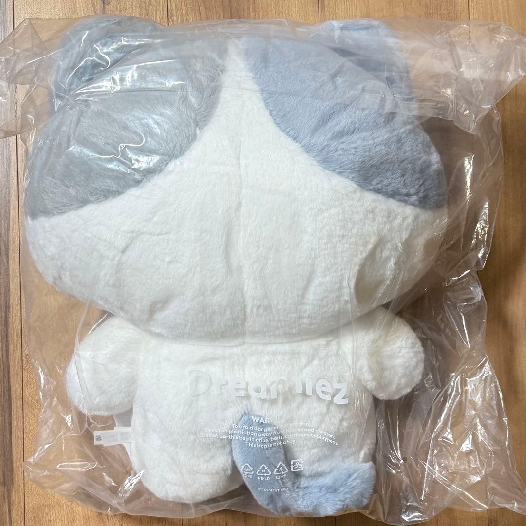 NCT DREAM Dreamiez フラットぬいぐるみ クッション チョンロ