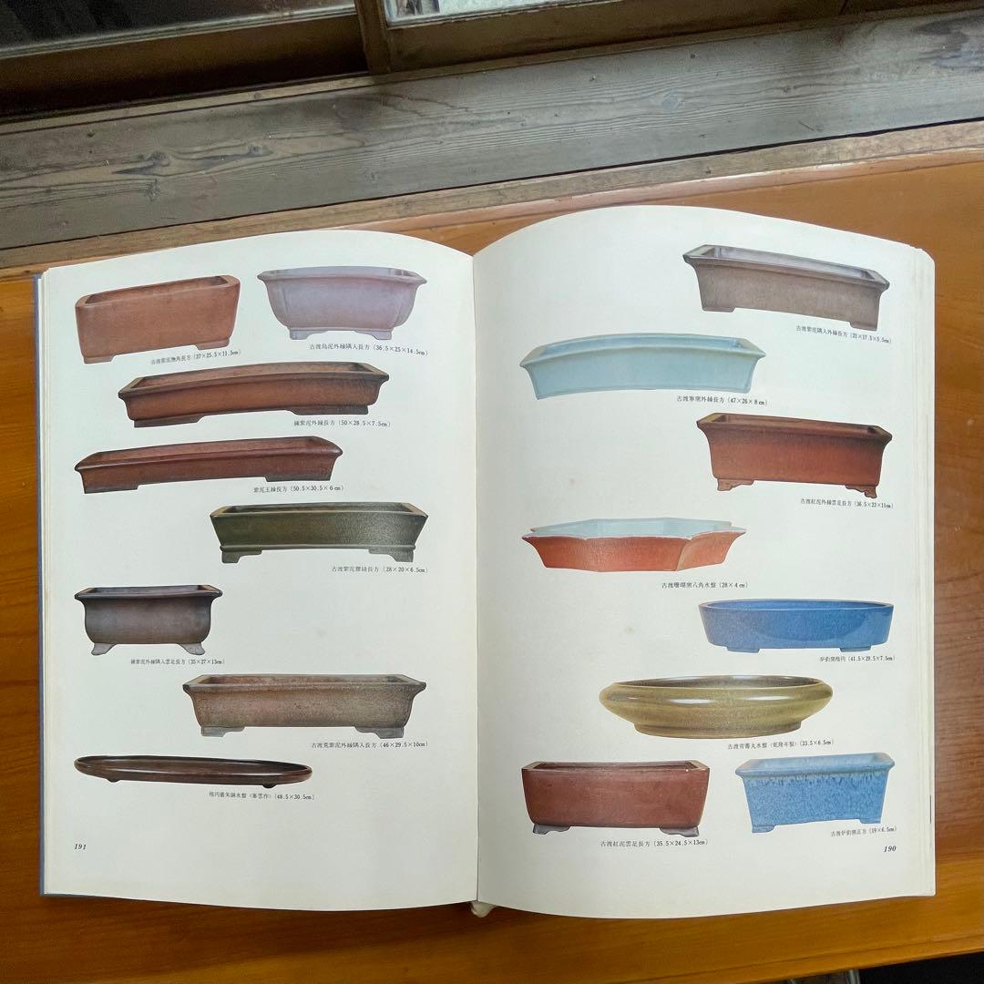 松柏盆栽大観 BONSAI MASTERPIECES OF CONIFERS