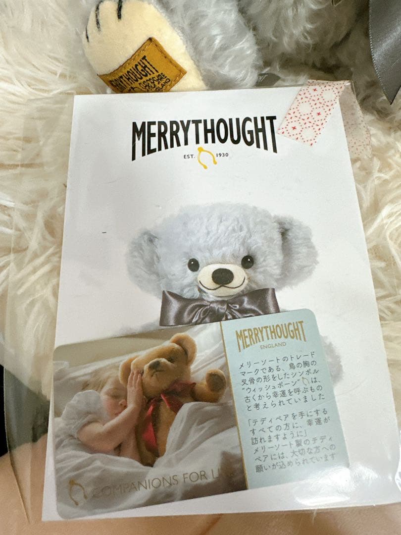 ☆メリーソート 2024年テディベア