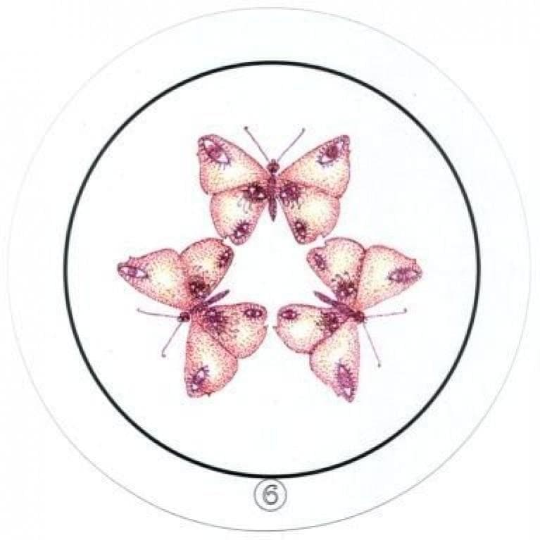 【正規品】革新的✨透明なクリアオラクル✨Transparent Oracle