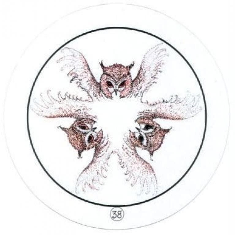 【正規品】革新的✨透明なクリアオラクル✨Transparent Oracle