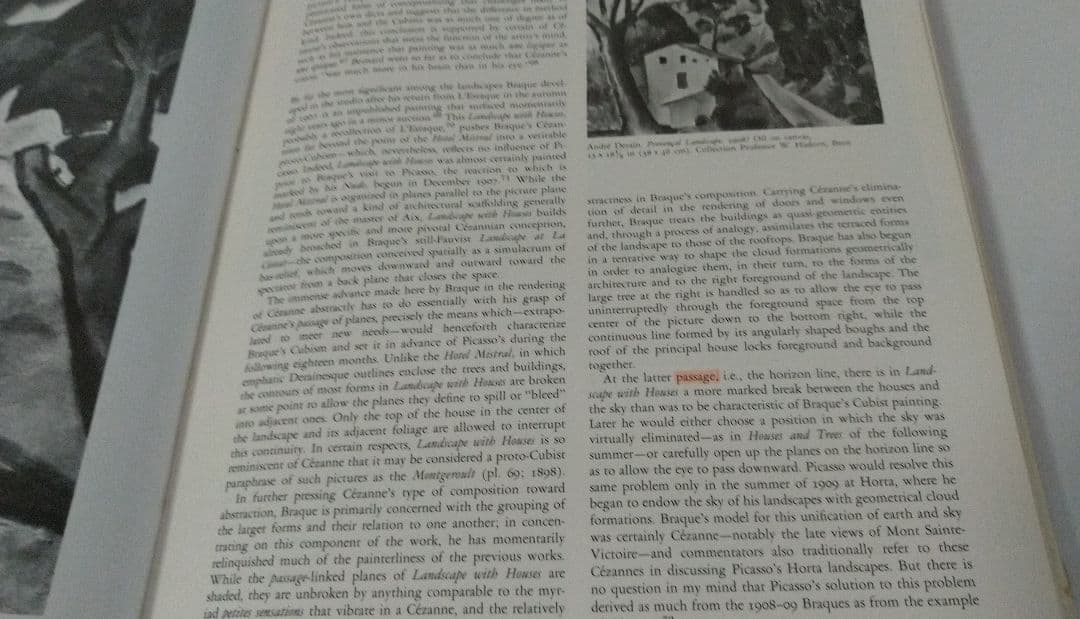 セザンヌ Ce'zanne The Late Work 洋書 画集