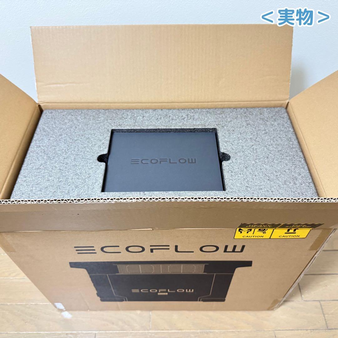 【新品未使用】Ecoflow DELTA 2 Max・純正 専用ケース
