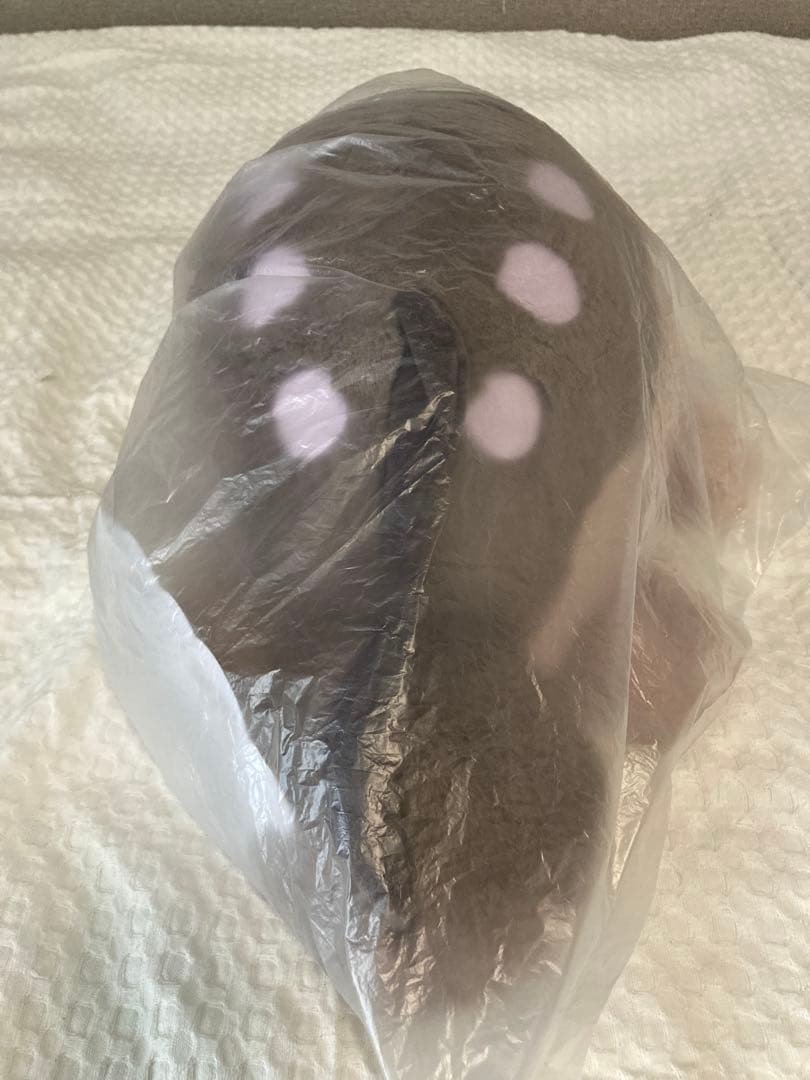 ポケモンセンター　ぬいぐるみ　ドオー　ふわふわ　抱きぐるみ　紙タグ付