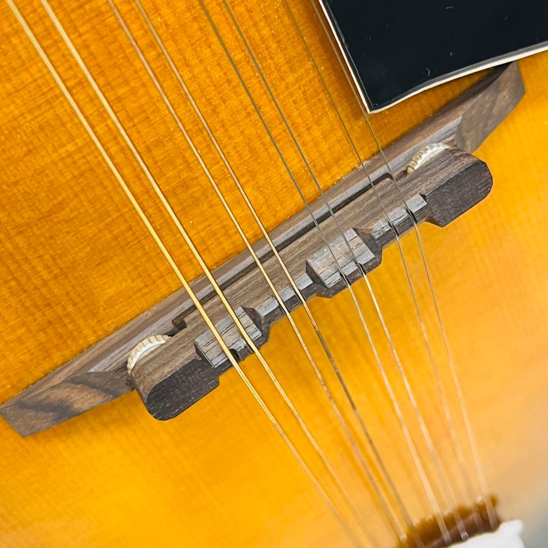 Aria アリア フラットマンドリン AM-200