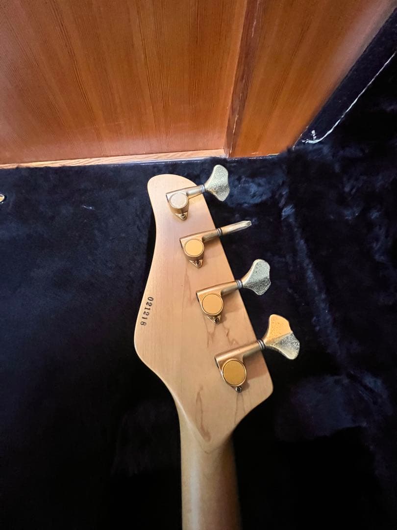 熊SCHECTER PW-EX-B-BL/FL