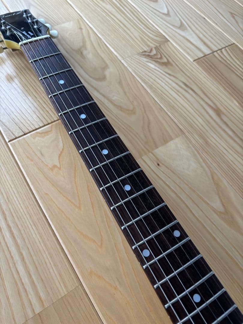 Cool Z ZLJ-2 レスポールジュニア ダブルカッタウェイ フジゲン製