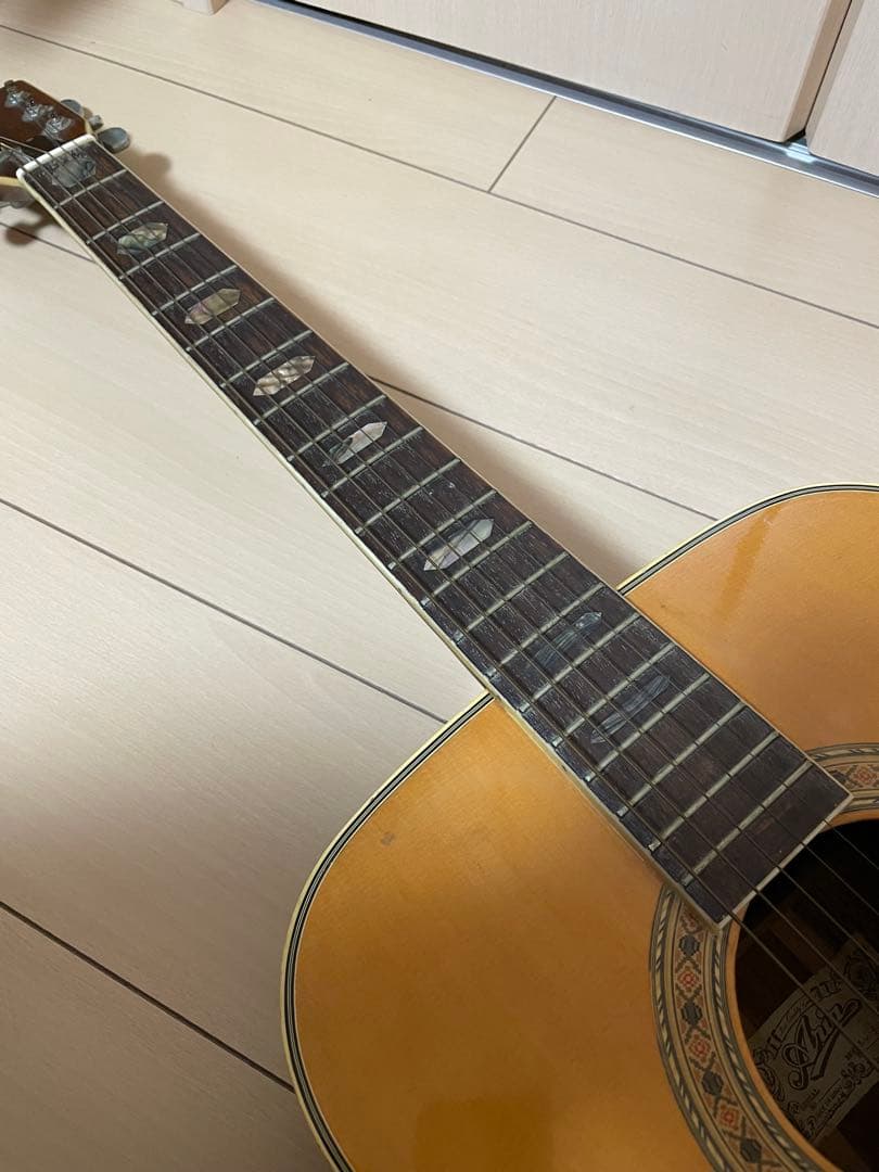 Aria アコースティックギター W-300