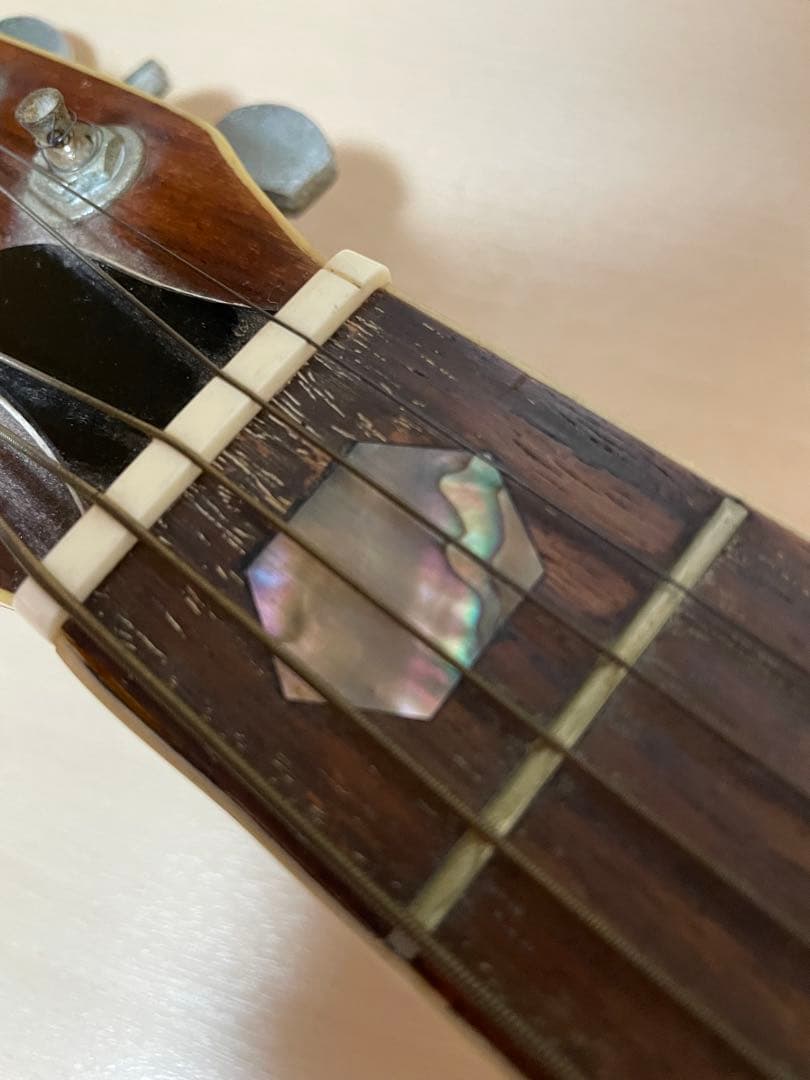 Aria アコースティックギター W-300