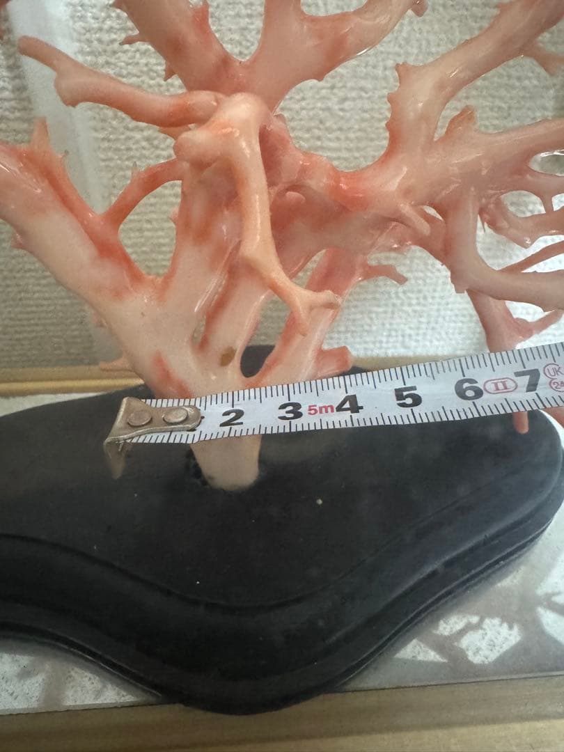珊瑚　置物