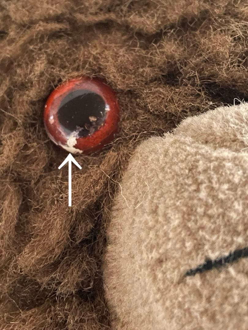 coco☆☆ページ　DDRベア　ブラウン