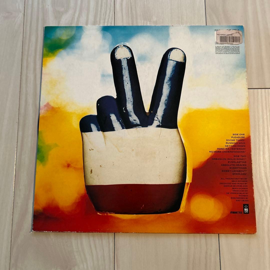 THE SOUP DRAGONS HOTWIRED アナログレコード