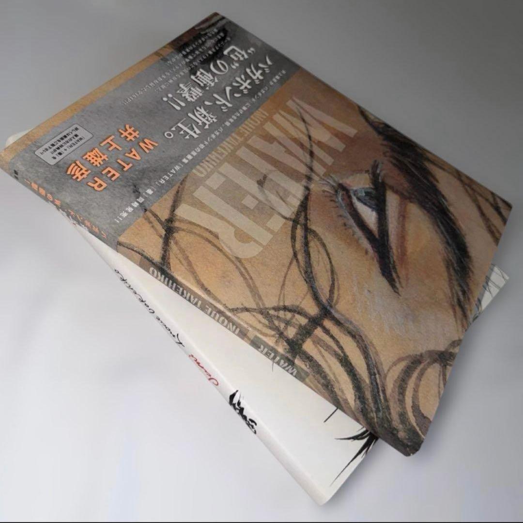 井上雄彦 バガボンド画集 『墨』『WATER』収納BOXセット+おまけ本3冊