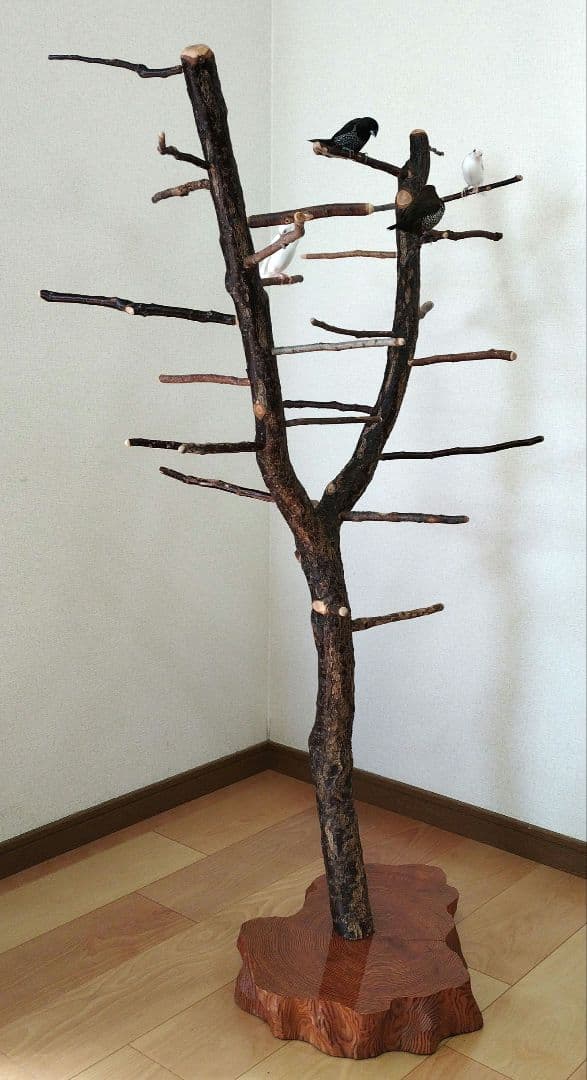 【フィンチ用】梅と桜のフィンチTree バードスタンド