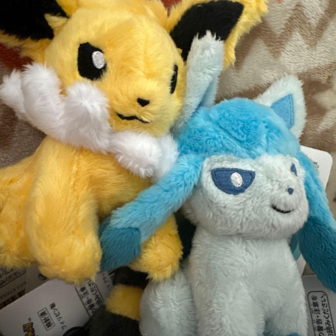 タグ付き ポケモンセンター カラビナ付きマスコット ぬいぐるみ ブイズセット