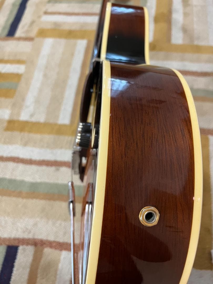 ARIA FA-50GE アーチトップ・ギター（PUモデル）