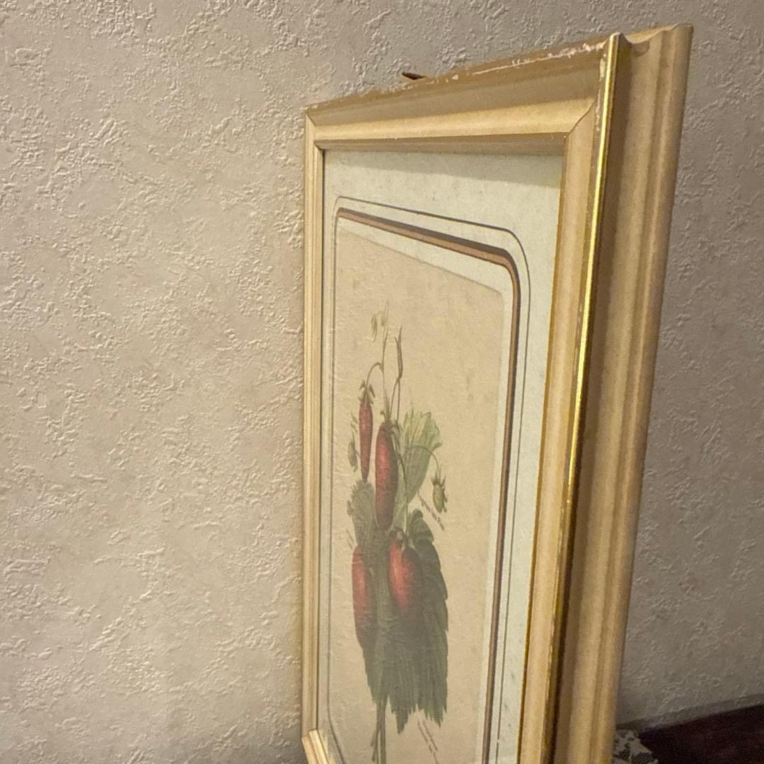 イタリア製アンティークボタニカル額絵