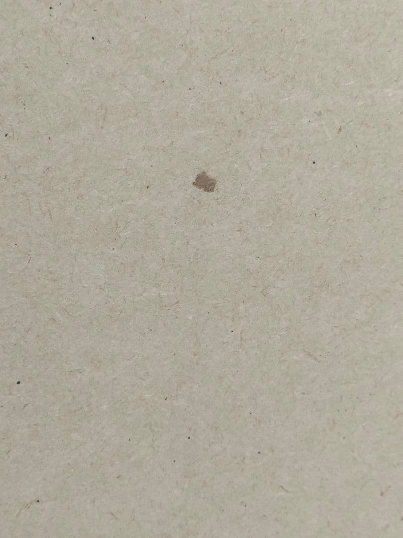 【ねこさん】荒木飛呂彦原画展 東京　高級複製原画 空条承太郎