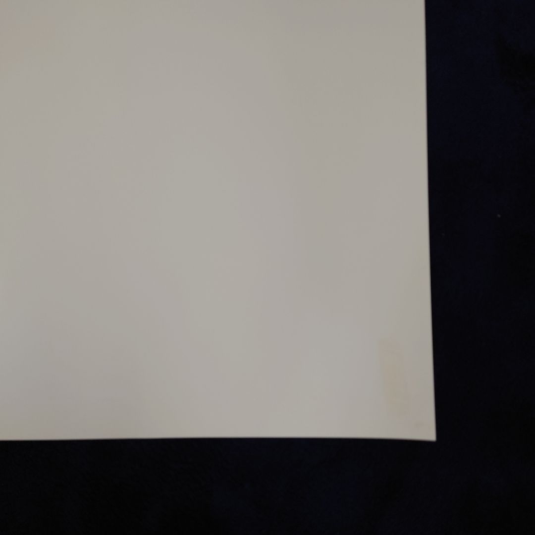 ウオッカ　天皇賞秋　ポスター　JRA