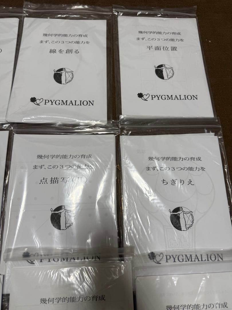 PYGMALION ポイント学習シリーズ 教材セット