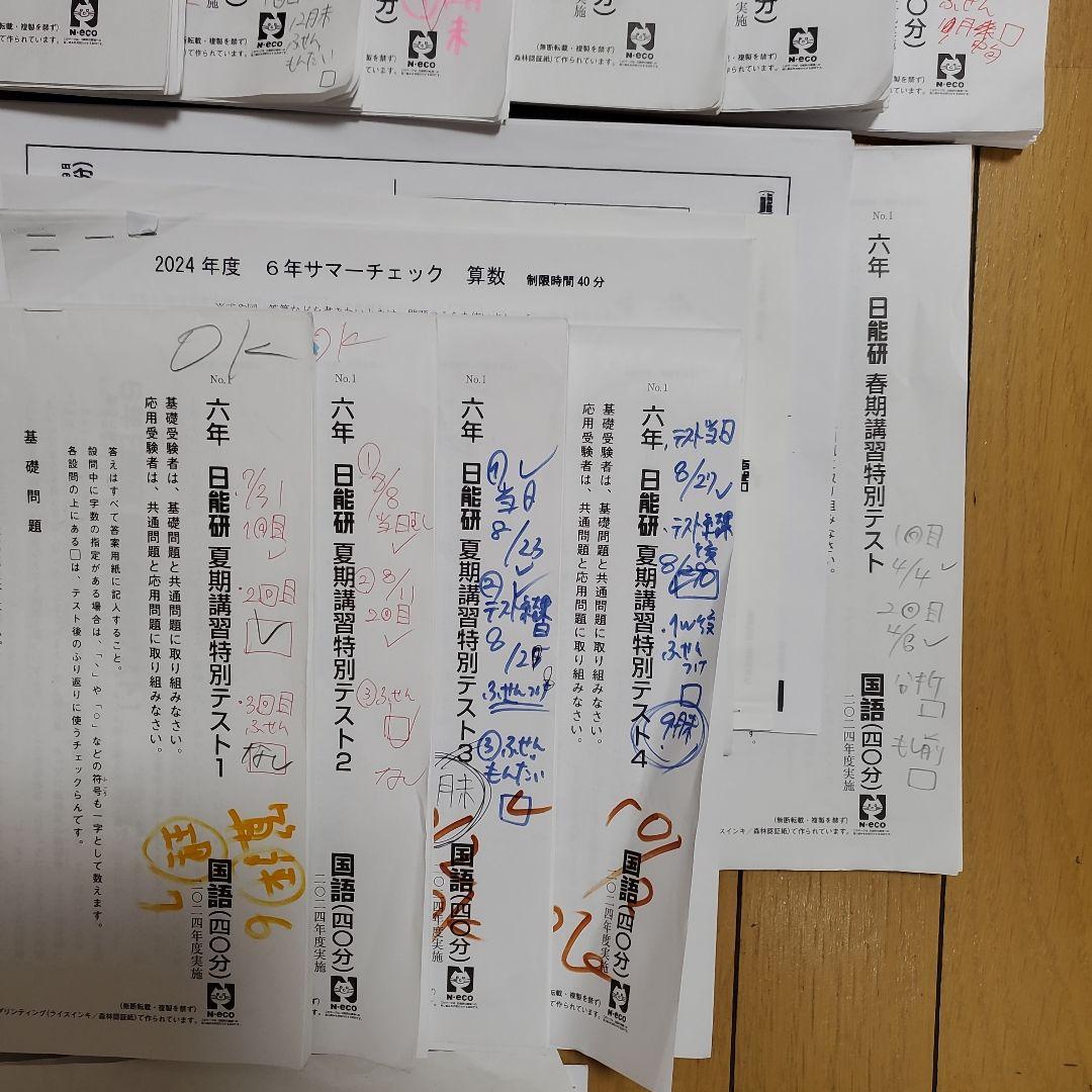 2024年　日能研　6年生　テスト　1年分　全国模試　育成テスト