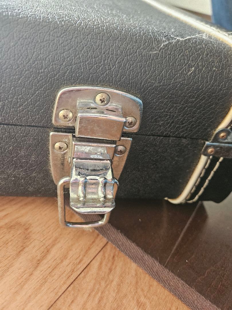 Jackson キングスブイ ハードケース付き