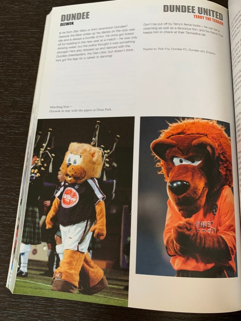 英国サッカーチームマスコット大全集！入手不可能