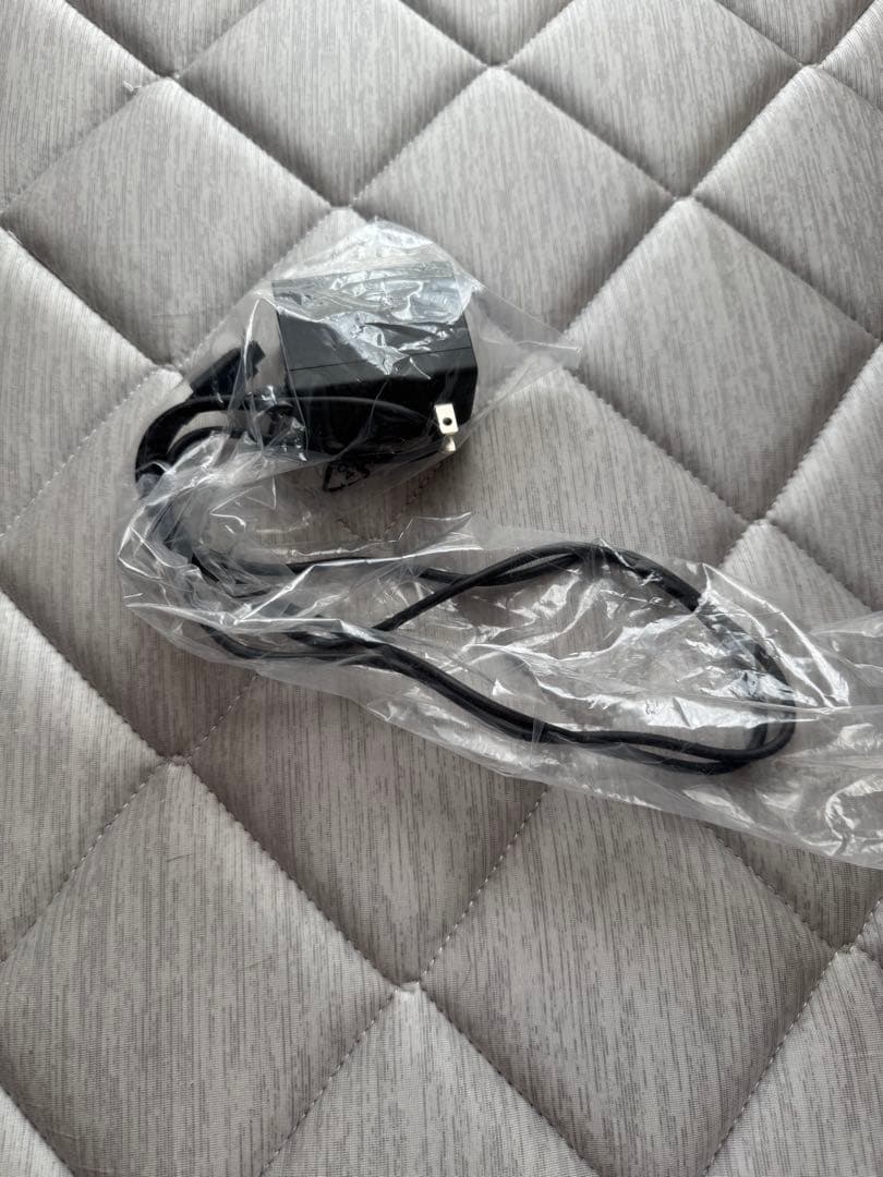 美品Nintendo Switch Lite グレー + ケース+カセット