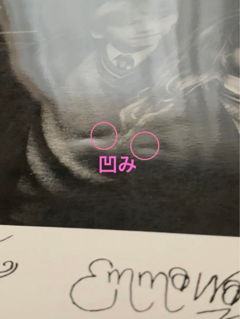 Harry Potter「ハリーポッターと賢者の石」サイン入り ポートレート写真