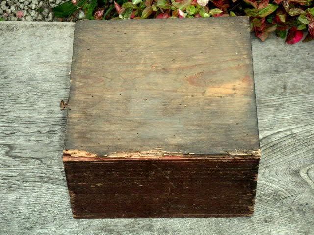 ♥絵志野　鉢　木箱付き　志野　建水　骨董品