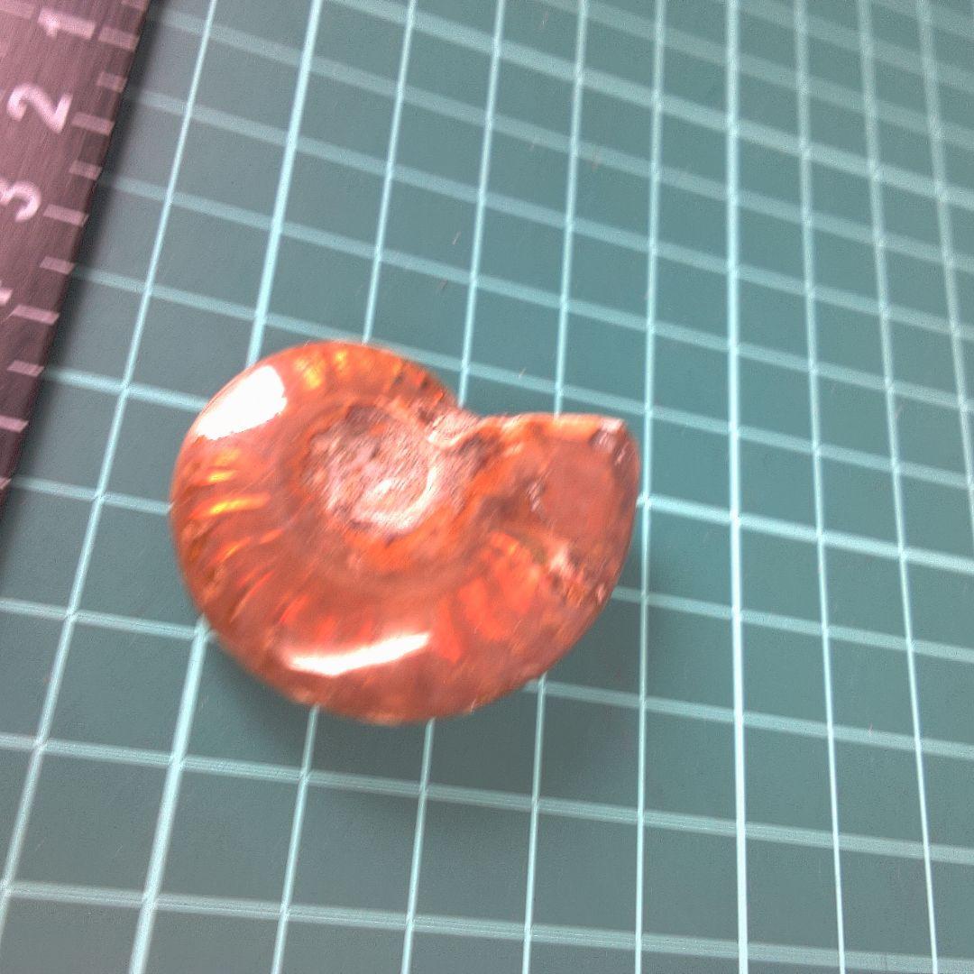 小物１ オレンジ色 アンモナイト化石