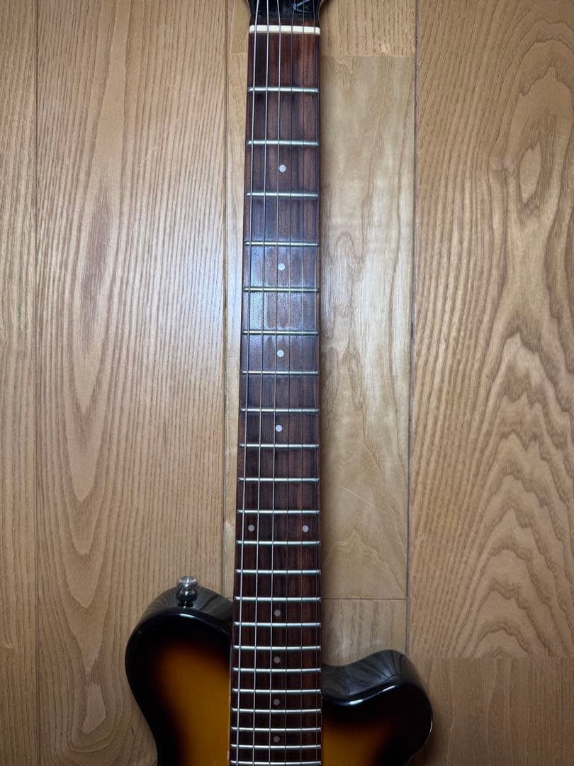 Pignose ピグノーズ 楽器 アンプ内蔵ミニギター