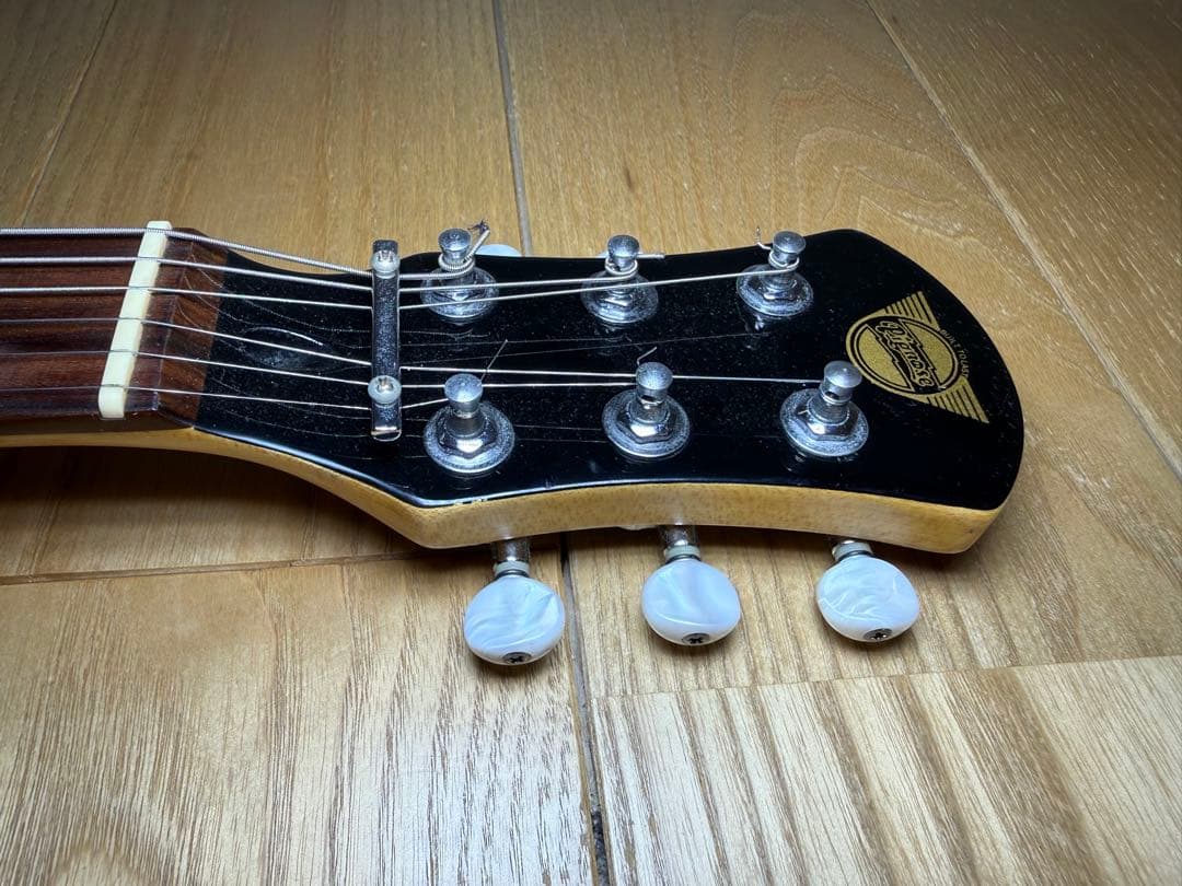 Pignose ピグノーズ 楽器 アンプ内蔵ミニギター