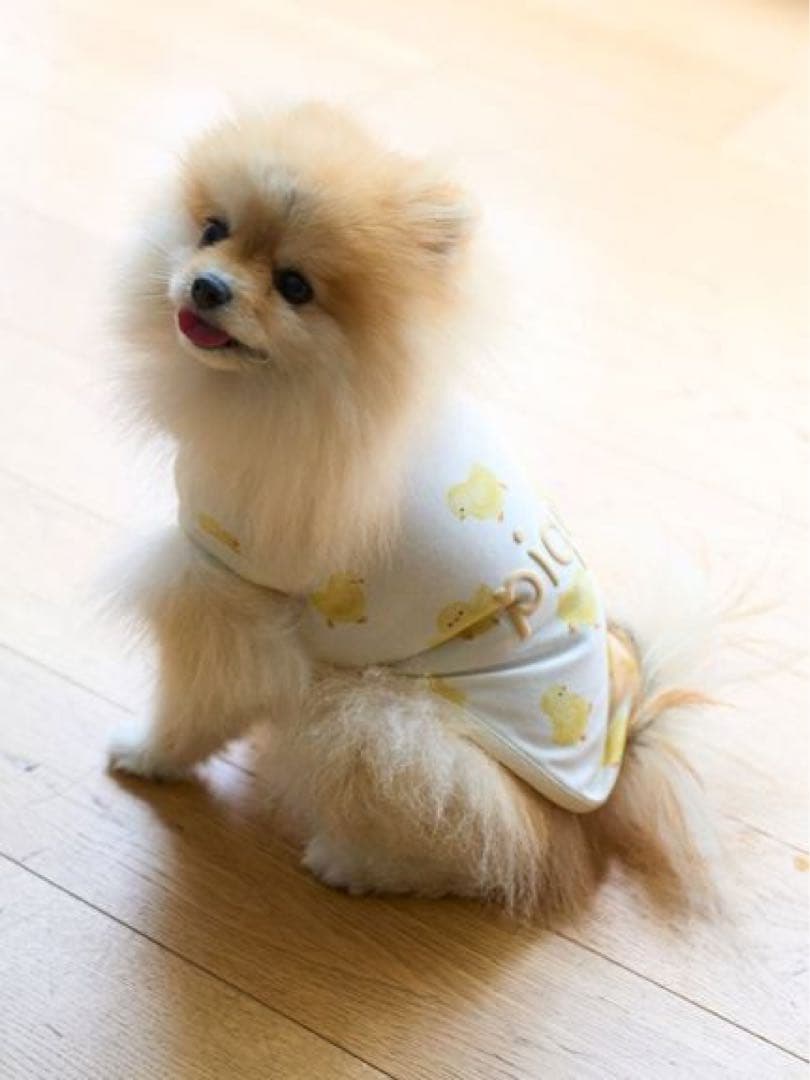 ジェラートピケ　ひよこ柄プルオーバー　Lサイズ