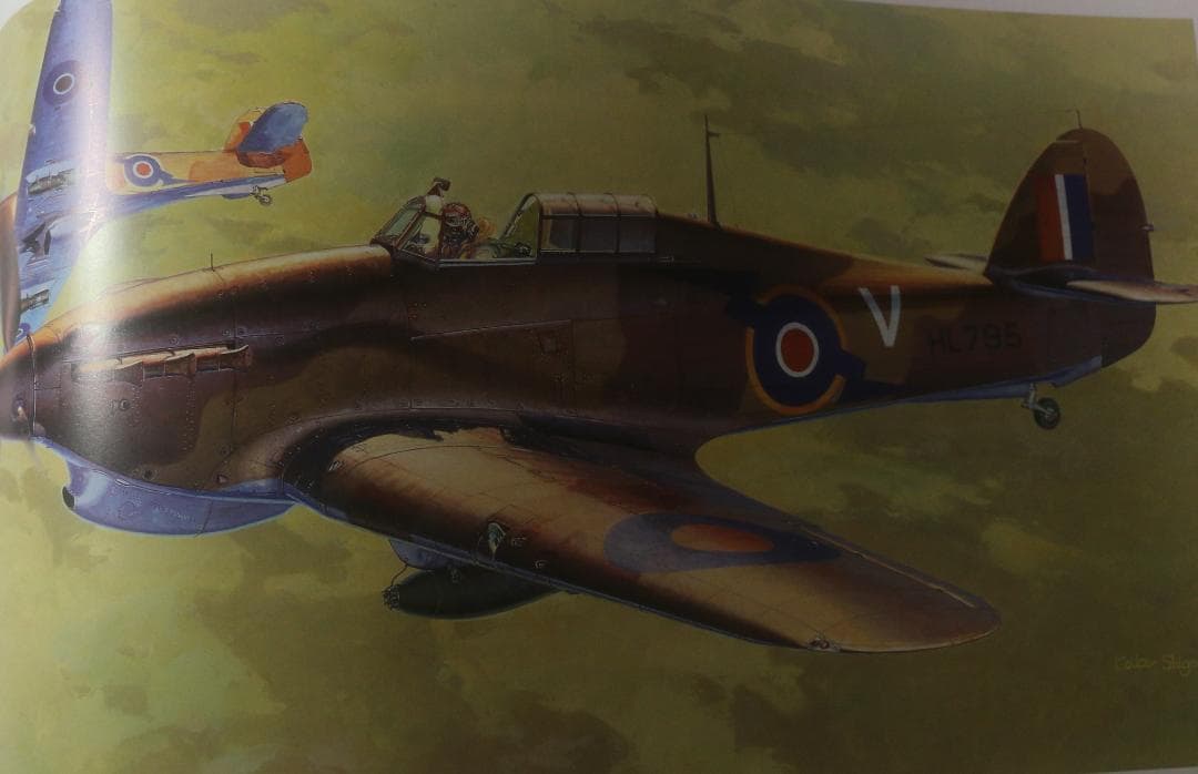 希少　フライング・カラーズ 2（Flying Colors 2）小池繫夫　中古本