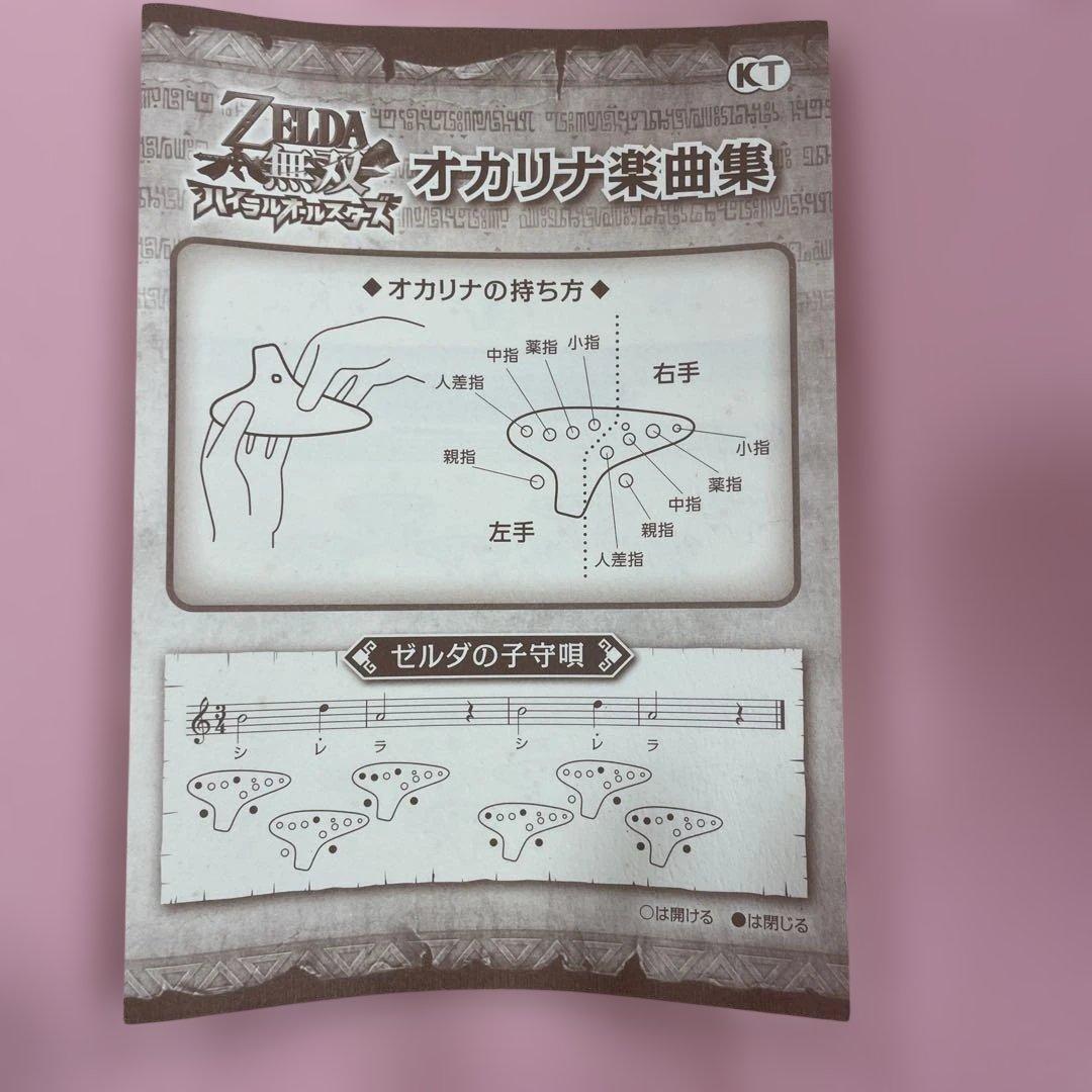 3DS ゼルダ無双 ハイラルオールスターズ TREASURE BOX 付属品完備