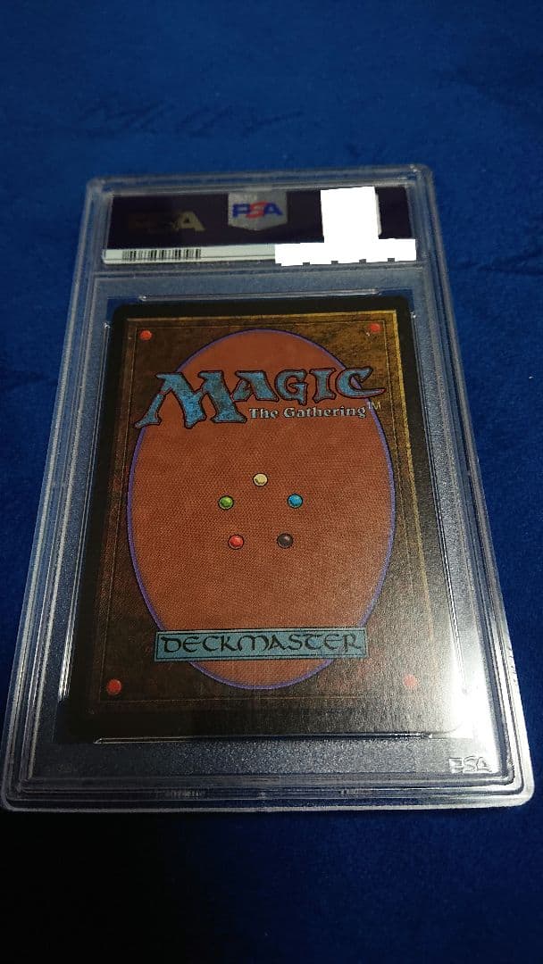 【PSA7 NM】MTG ベータ（β） 英語 新たな芽吹き 鑑定品