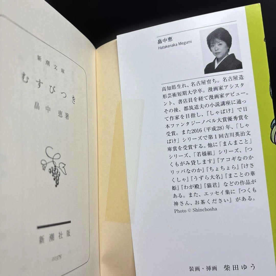 しゃばけ 1-24巻 読本 漫画 関連本 全33冊